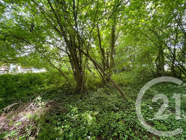 maison à vendre - 7 pièces - 115.0 m2 - LE SOURD - 02 - PICARDIE - Century 21 Agence Du Fort